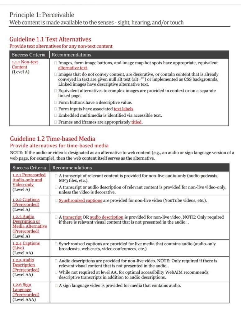 Professional Checklist Template