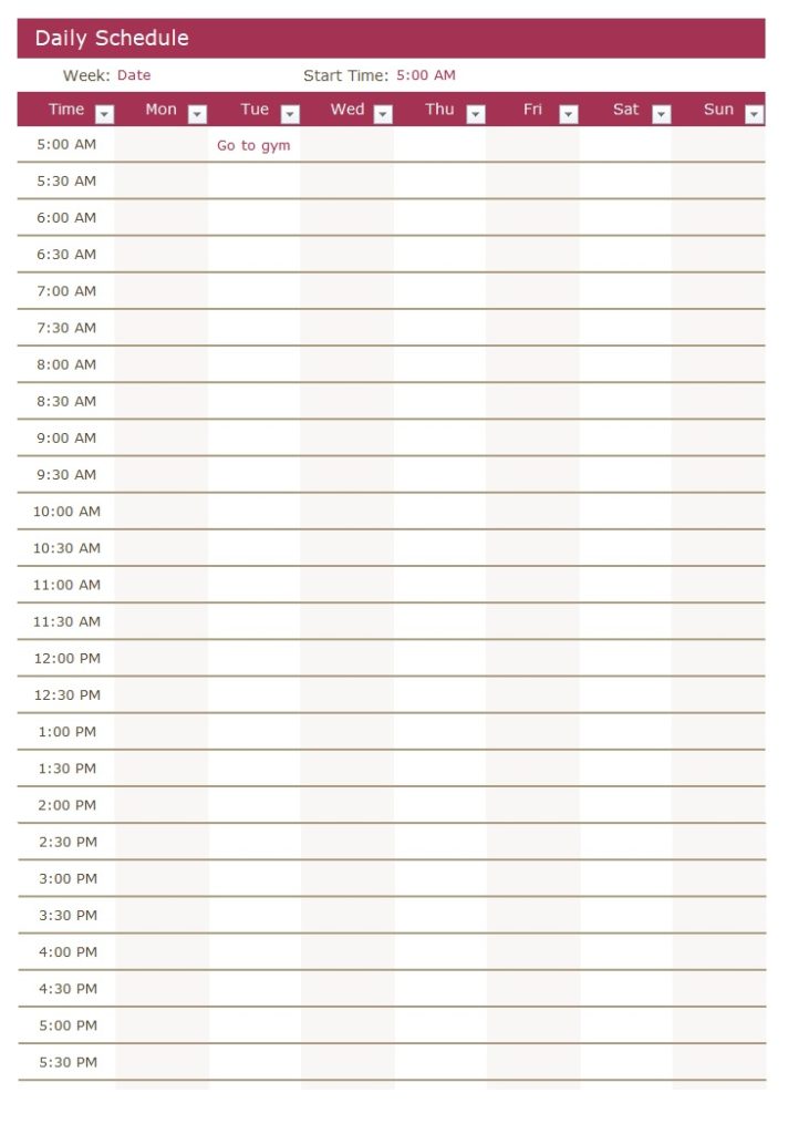 Daily Schedule Template Excel