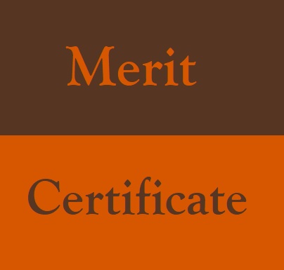 Certificate of Merit Template